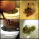 This video features a black woman taking a shit into a toilet from various angles and positions in  9 scenes. She sits on the toilet so her poop action is always visible. Finished product shown almost every time. 102MB, MP4 file. About 34 minutes.